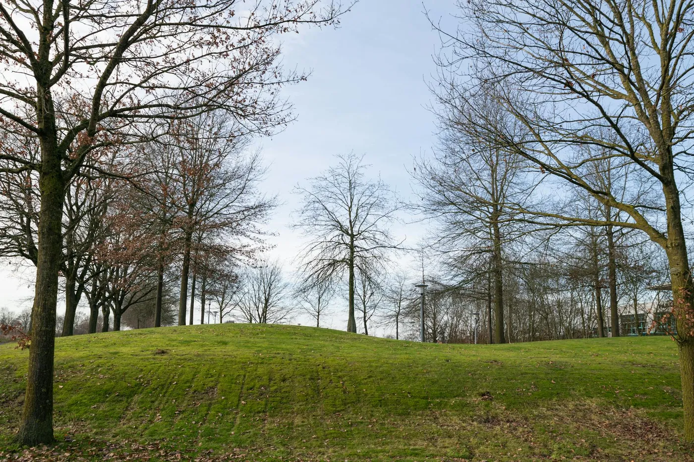 Gorica Hill — Podgorica's Forest in the City