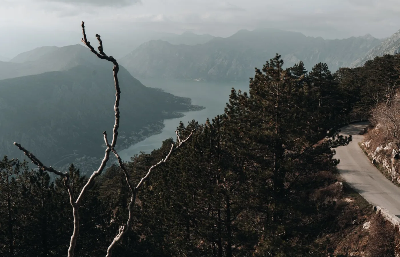 Montenegrin road winding through the mountains